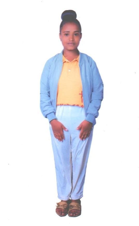 slide-2, House Maid , Ethiopia , House keeping , Babysitter , ironing