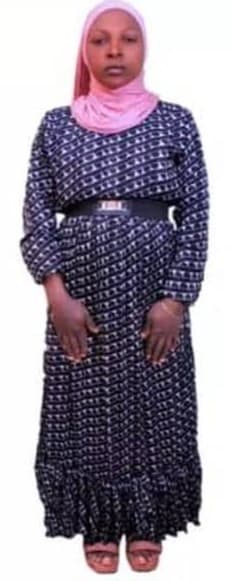 slide-2, House Maid , Ethiopia , House keeping , Babysitter , ironing