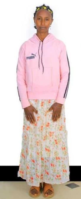 slide-2, House Maid , Ethiopia , House keeping , Babysitter , ironing