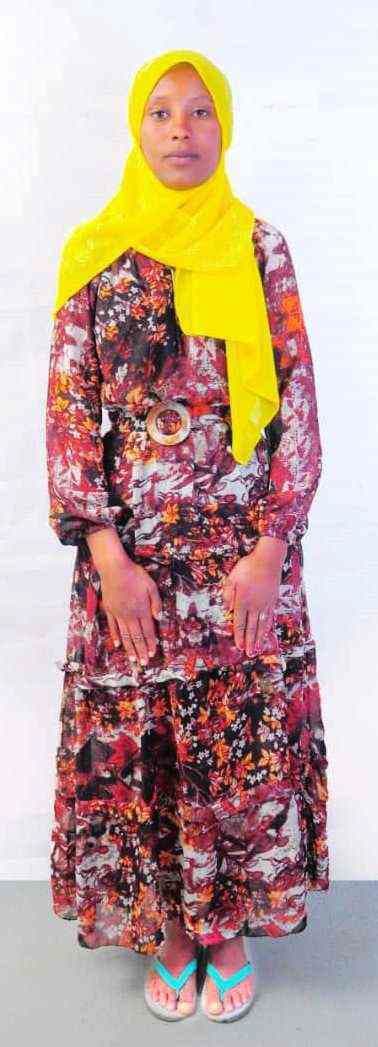 slide-2, House Maid , Ethiopia , House keeping , Babysitter , ironing