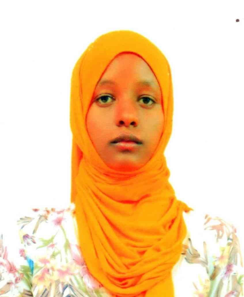 slide-1, House Maid , Ethiopia , House keeping , Babysitter , ironing