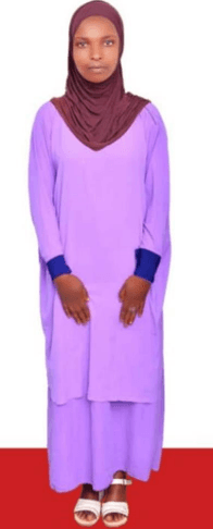 slide-2, House Maid , Ethiopia , House keeping , Babysitter , ironing