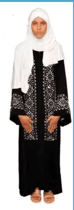 slide-2, House Maid , Ethiopia , House keeping , Babysitter , ironing